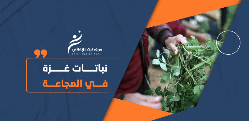 نباتات غزة: الملاذ الأخير في مواجهة أزمة الجوع المتفاقمة